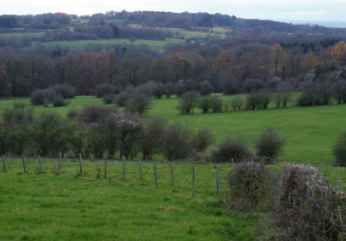 Panorame des prairies et haies