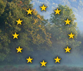 Les étoiles du drapeau de l'ue sur un paysage forestier