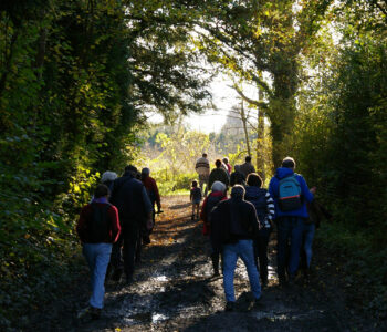 Le groupe marche le long d'un chemin de haies