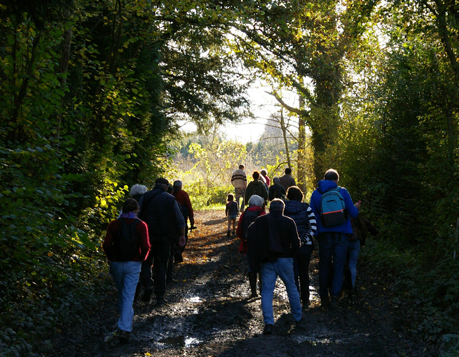 Le groupe marche le long d'un chemin de haies