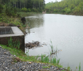 Bassin d'orage a Werbomont