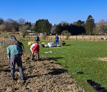 Plantation des arbres pour foret miyawaki