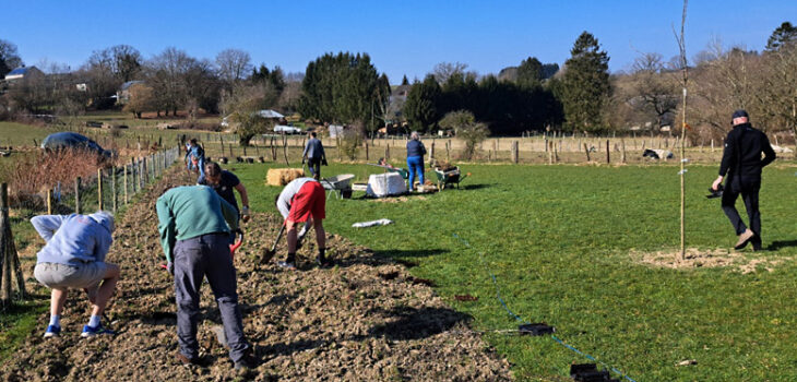 Plantation des arbres pour foret miyawaki