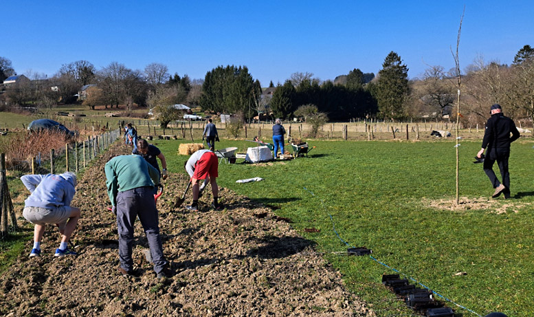 Plantation des arbres pour foret miyawaki