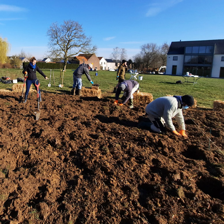 Plantation des arbres pour un foret miyawaki.