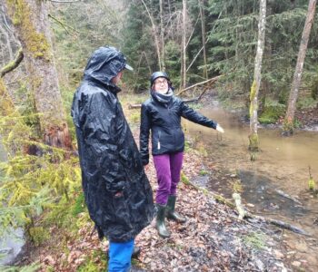 2 personnes regardents un etang dans le foret.