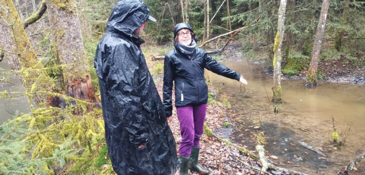 2 personnes regardents un etang dans le foret.