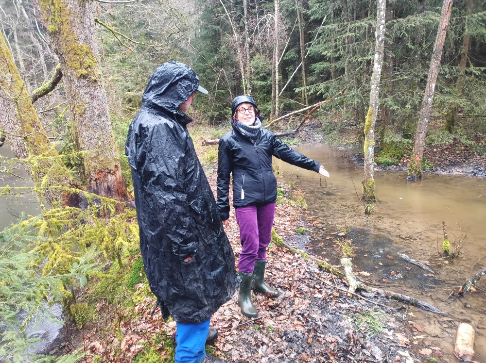 2 personnes regardents un etang dans le foret.