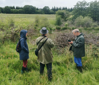 groupe de 3 personnes dans un prairie